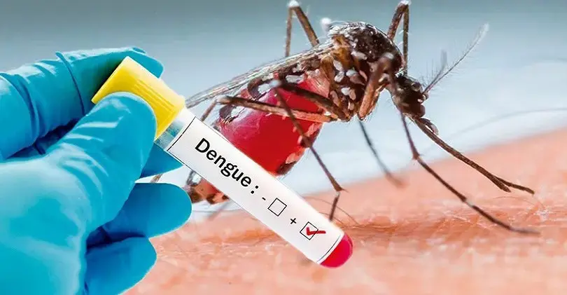 1-dengue-tapa.jpg