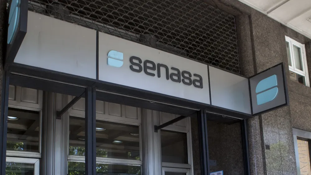 senasa-scaled