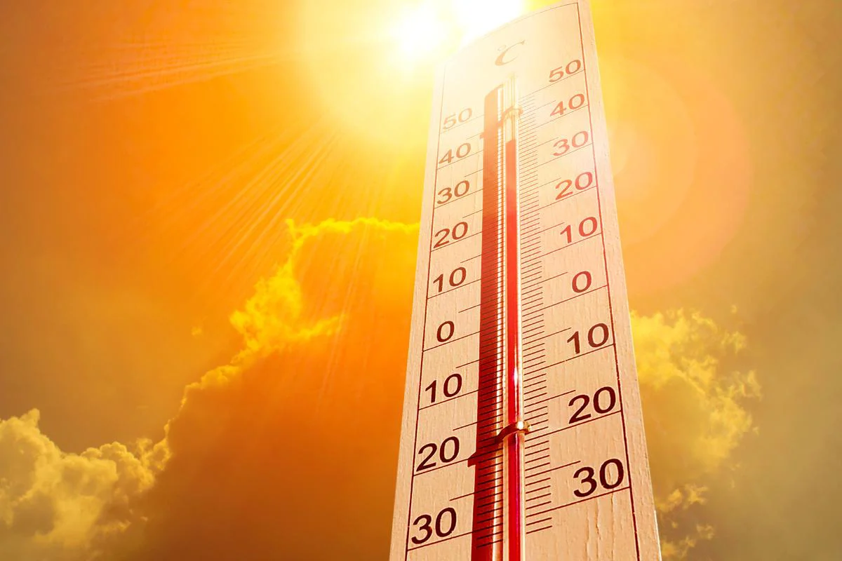 olas_de_calor_que_son_causas_y_consecuencias_4405_1200
