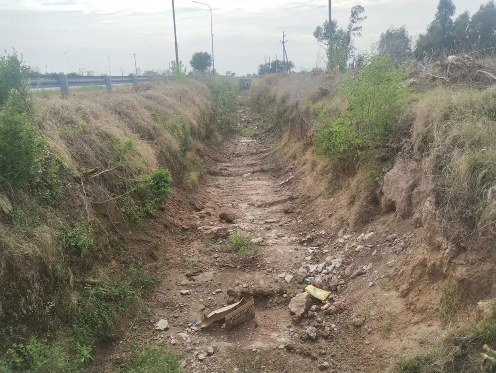 356919_img-20251004-wa0006