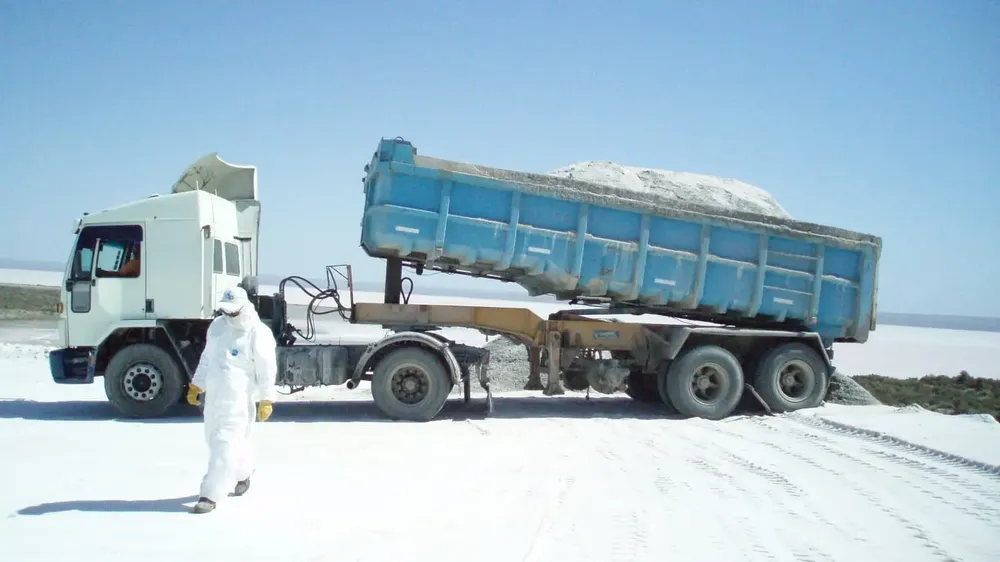 1765280319_bc828fea836c6152885b