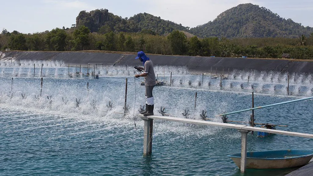 825866-adb-thai-union-150m-loan