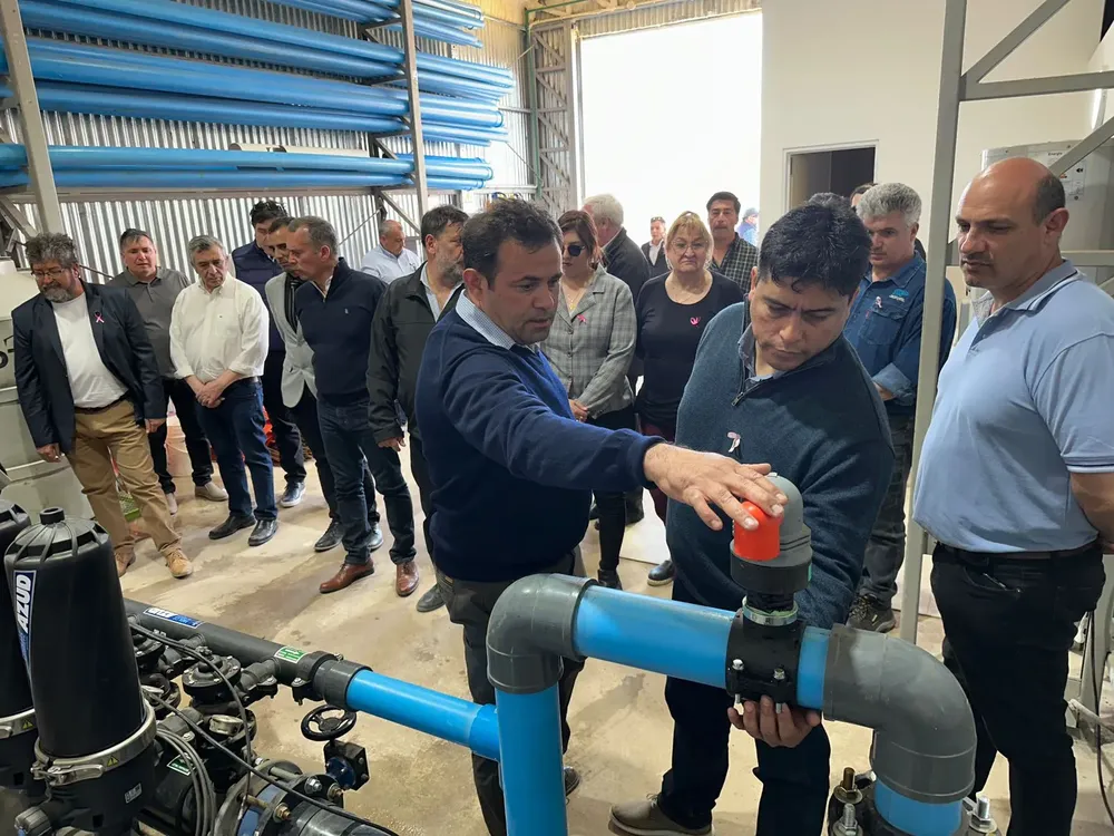 WhatsApp_Image_2025-10-19_at_18.50.30