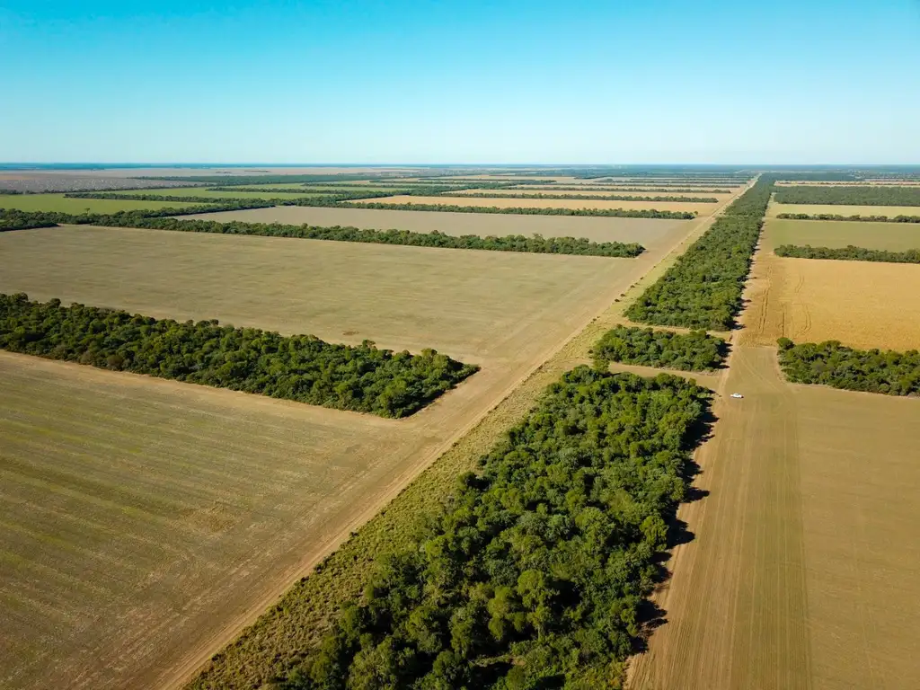 41f1d157-f653-4776-9bcb-c54061c7b6db_u_medium