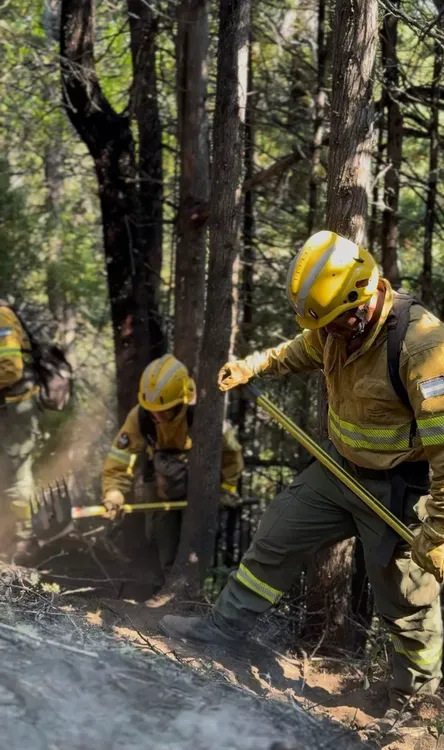 1769429671WhatsApp Image 2026-01-23 at 9.12.09 PM