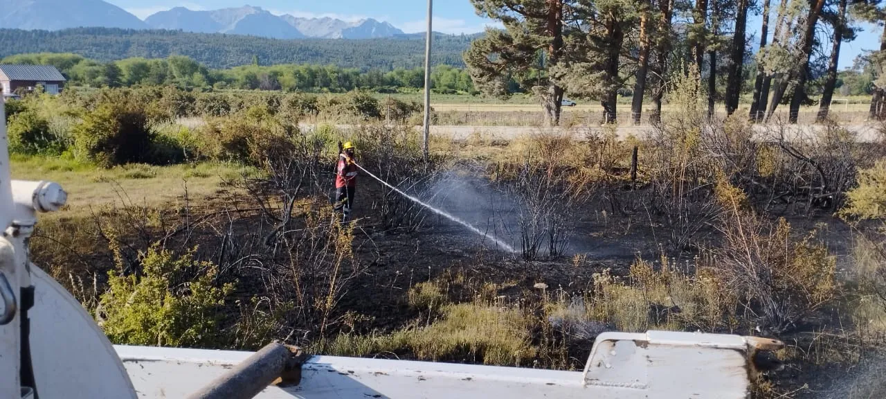 1767617683WhatsApp Image 2026-01-05 at 8.21.03 AM