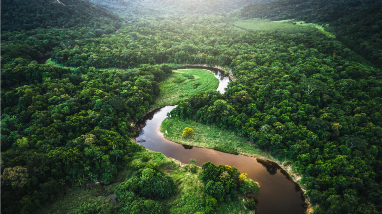 amazonia_brasilea