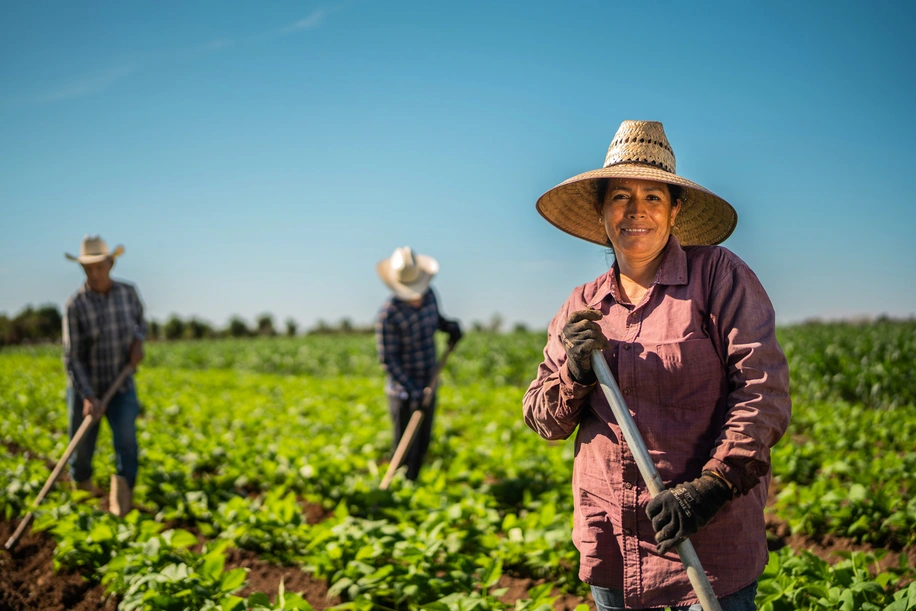 agricultura y produccion de alimentos mexico.jpg