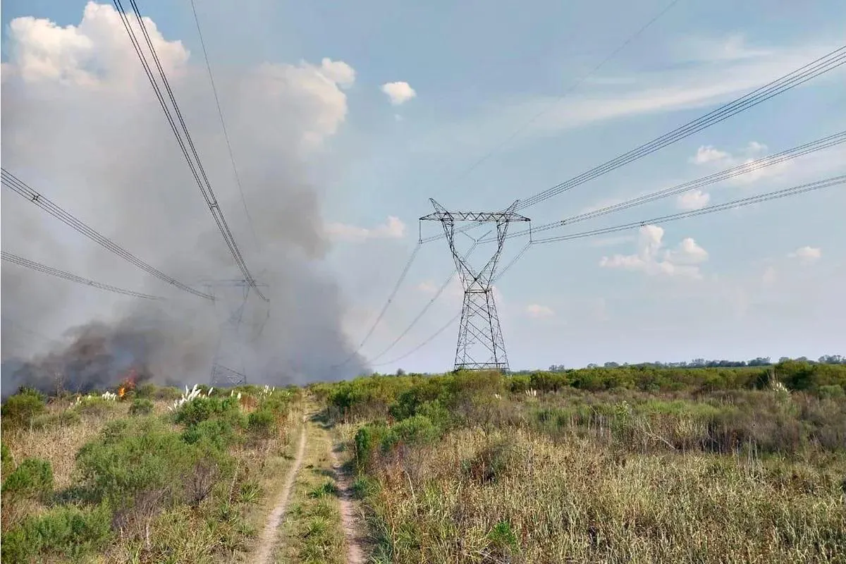 incendio-perturbo-linea-alta-tension-500-kw-une-campana-gral-rodriguez-981791-192100