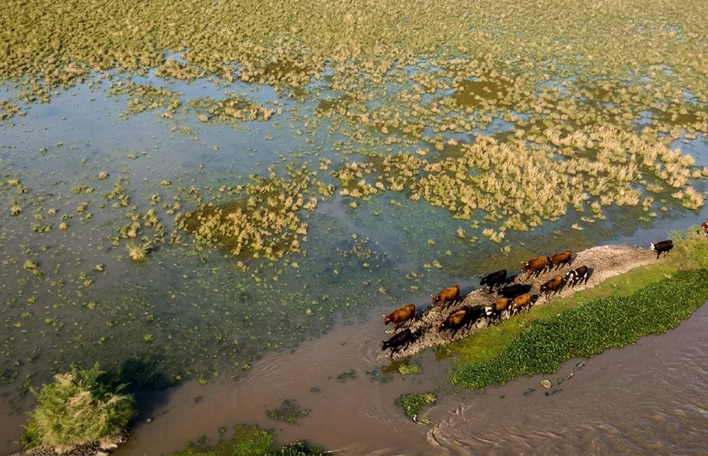 26-07-24_inundacion_corrientes_1