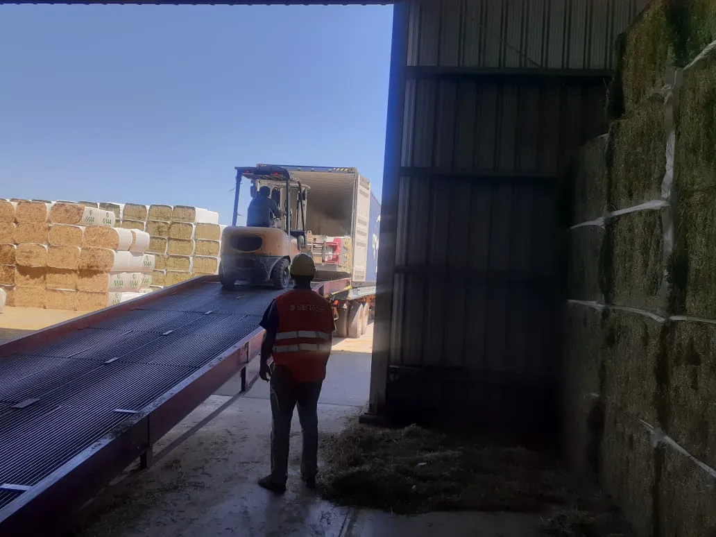 whatsapp_image_2026-01-19_at_15.11.37