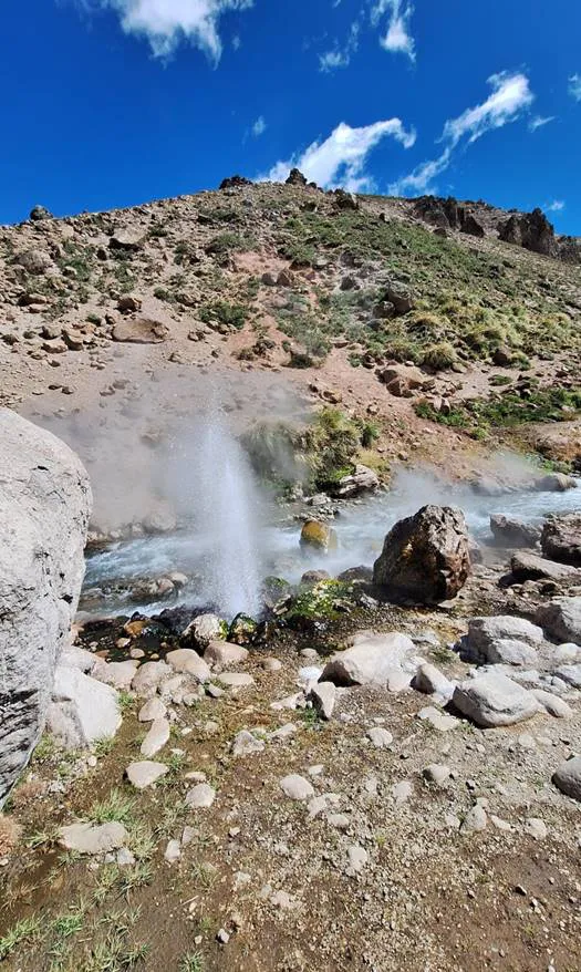 noticia_segemar_13_12_24_1