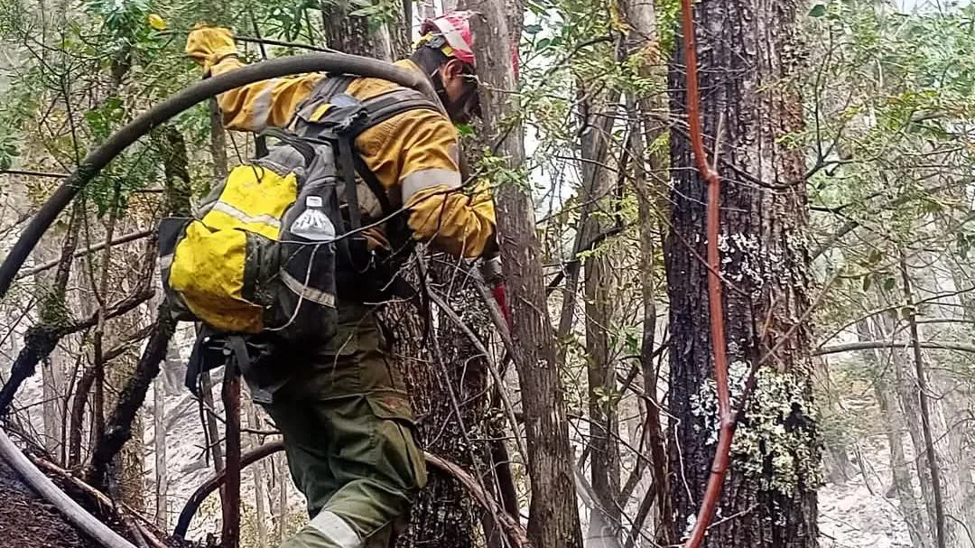 1740403540_b2af8f39fbeec2fc7b81