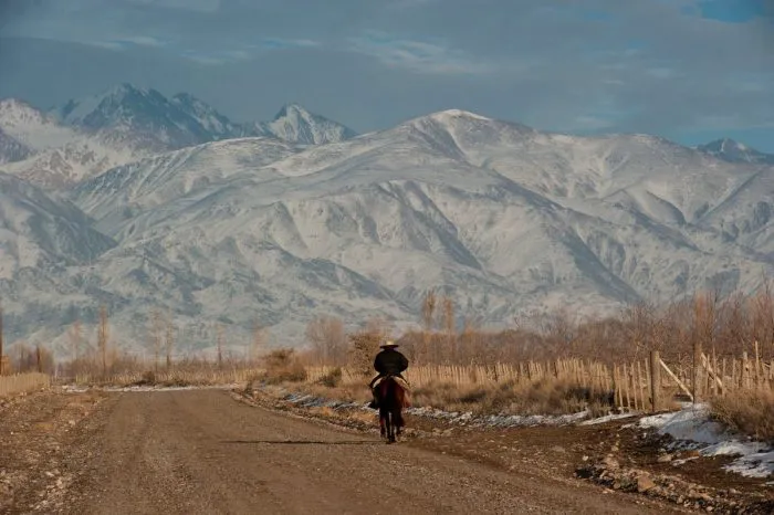 WhatsApp-Image-2025-06-24-at-20.46.55-700x466