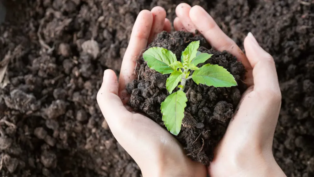Ley-de-restauracion-de-la-naturaleza